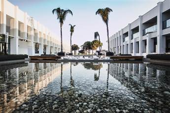 Paloma Finesse Side 5*