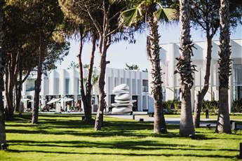 Paloma Finesse Side 5*