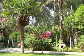 Paloma Marina Suites - Adult Only