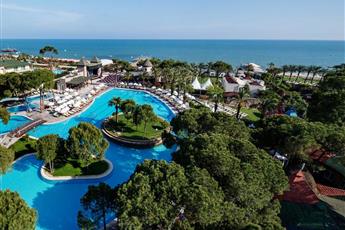 Papillon Ayscha