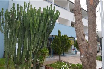 Park Avrupa Hotel