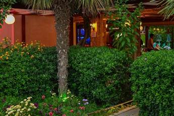 Perdikia Beach Hotel 3*