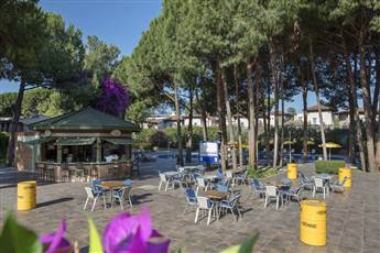 Pine Beach Belek 5* Pine Beach Belek 5*