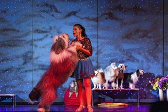 Pine Beach Belek 5* Pine Beach Belek 5*