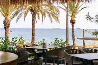 Pirate's Beach Club