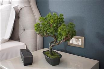 Ramada by Wyndham Istanbul Taksim 4*