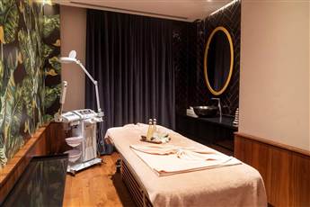 Ramada Plaza By Wyndham Istanbul Sultanahmet 5*