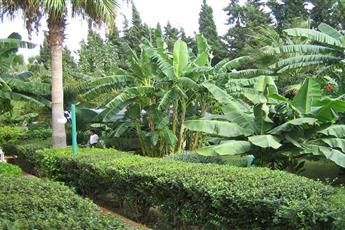 Ramira Beach Hotel 4*