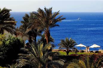 Reef Oasis Beach Resort 5*