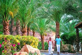 Reef Oasis Beach Resort 5*