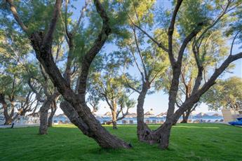 Regia Mare Beach Hotel & Spa Bodrum 4*