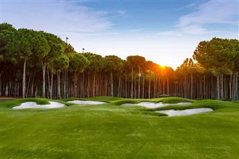Regnum Carya Golf & Spa Resort Special Rooms