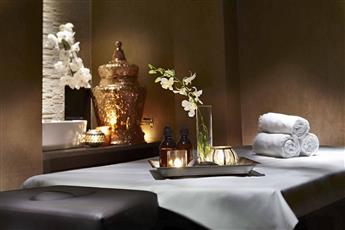 Renaissance Istanbul Polat Bosphorus Hotel 5*