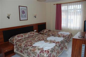Risus Park Hotel 3*