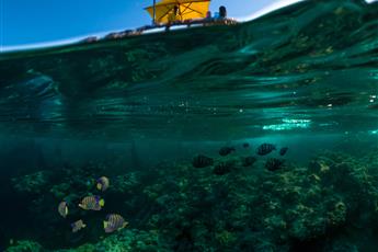 Rixos Premium Seagate 5*