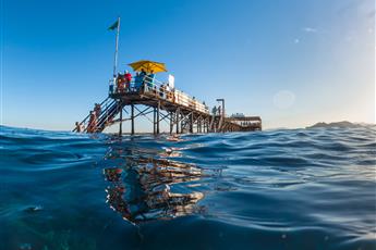 Rixos Premium Seagate 5*