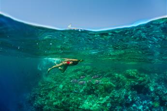 Rixos Premium Seagate 5*