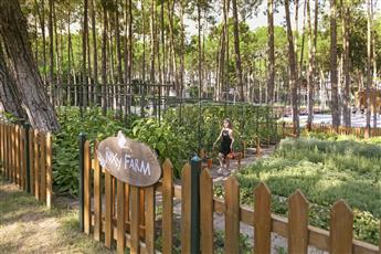 Rixos Sungate Club Diamond 5*