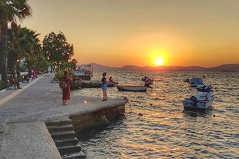 Roseira Mar-Inn Luxury