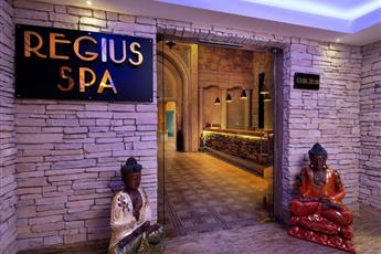 Rubi Platinum Spa Resort & Suites