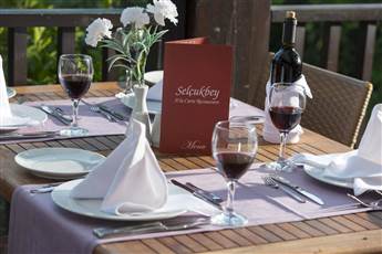 Selcukhan Hotel 4*