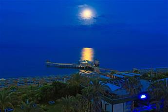 Selectum Family Comfort Side 5*