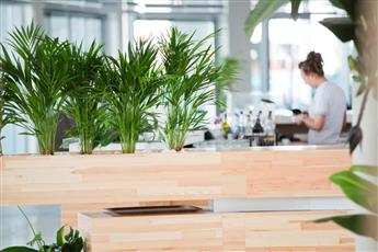 Selene Beach & Spa Hotel 5* Adults Only 16+