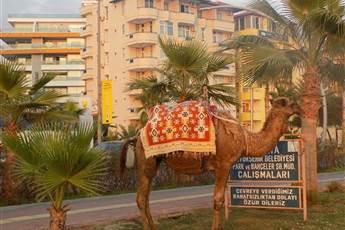 Semt Luna Beach Hotel 3*