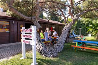 Seven Seas Hotel Life 5* Seven Seas Hotel Life 5*