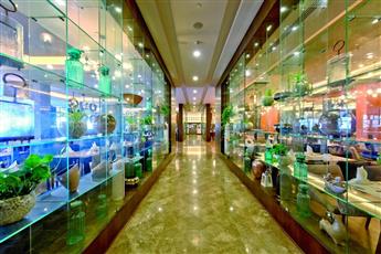 Side Star Elegance 5*