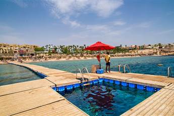 Sierra Sharm El Sheikh Hotel 5*