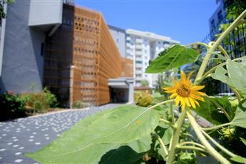 Simply Fine Hotel Alize 4*