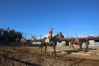 Starlight Resort Hotel Special Rooms 5*