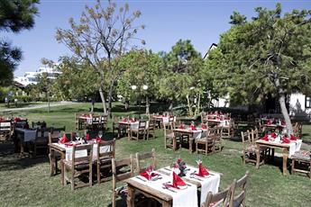 Starlight Resort Hotel