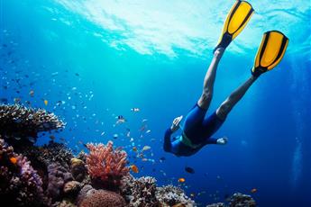 Steigenberger Al Dau Beach 5*