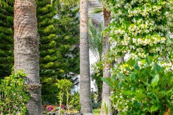 Stella Beach Hotel 5*