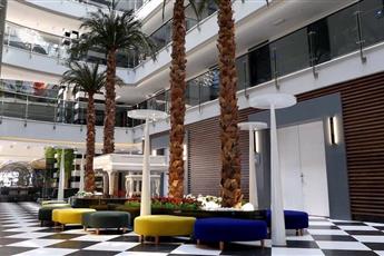 Sunprime C-Lounge