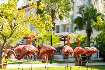 Sural Resort Hotel 5* Sural Resort Hotel 5*