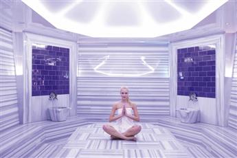 Swissotel the Bosphorus 5*