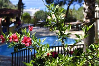 Symbola Oludeniz Beach Hotel 3*