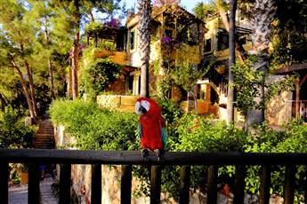 Symbola Oludeniz Beach Hotel 3*