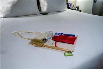 The Artisan Hotel Istanbul - MGallery Collection