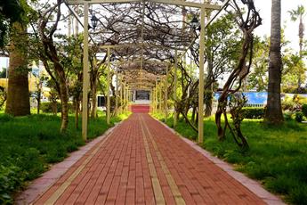 The Garden Beach Hotel 4*