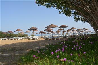 The Garden Beach Hotel 4*