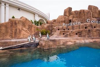 The Land Of Legends Kingdom Hotel