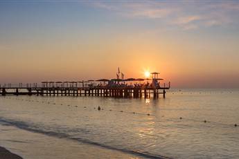 The Norm Oriental 5*