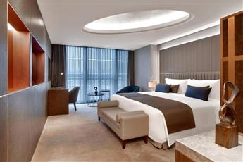 The St. Regis Istanbul 5*