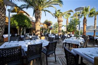 TUI MAGIC LIFE Bodrum - Adults Only