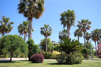 TUI Magic Life Jacaranda 5*