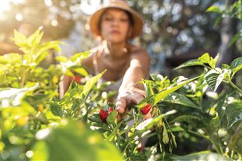 TUI Magic Life Rixos Beldibi 5* Adult only 16+